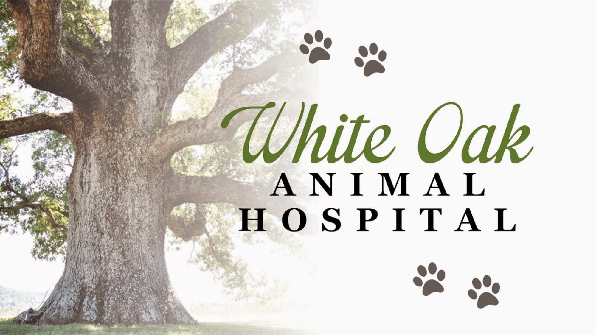 White Oak Animal Hospital - Clinic & Holistic Telemedicine