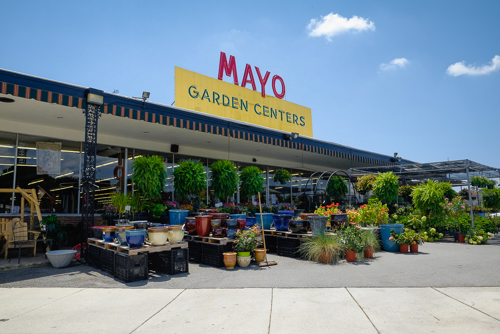 Mayo Garden Center: Bearden