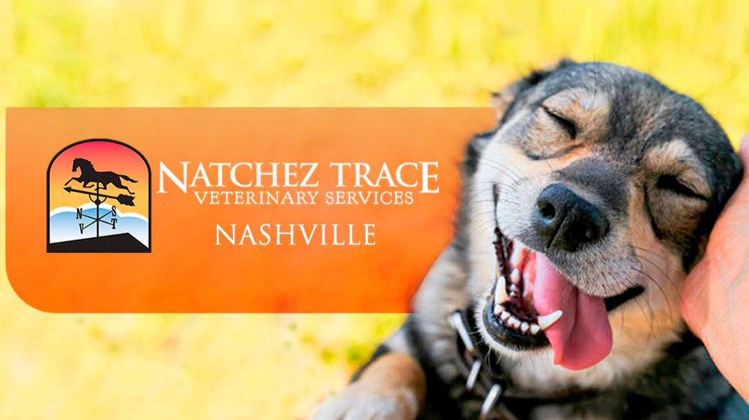 Natchez Trace Veterinary Services - Clinic & Holistic Telemedicine