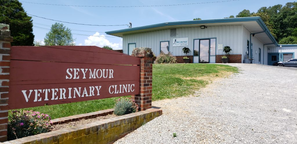 Seymour Veterinary Clinic