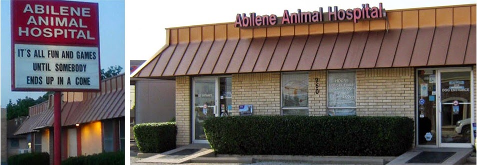 Abilene Animal Hospital