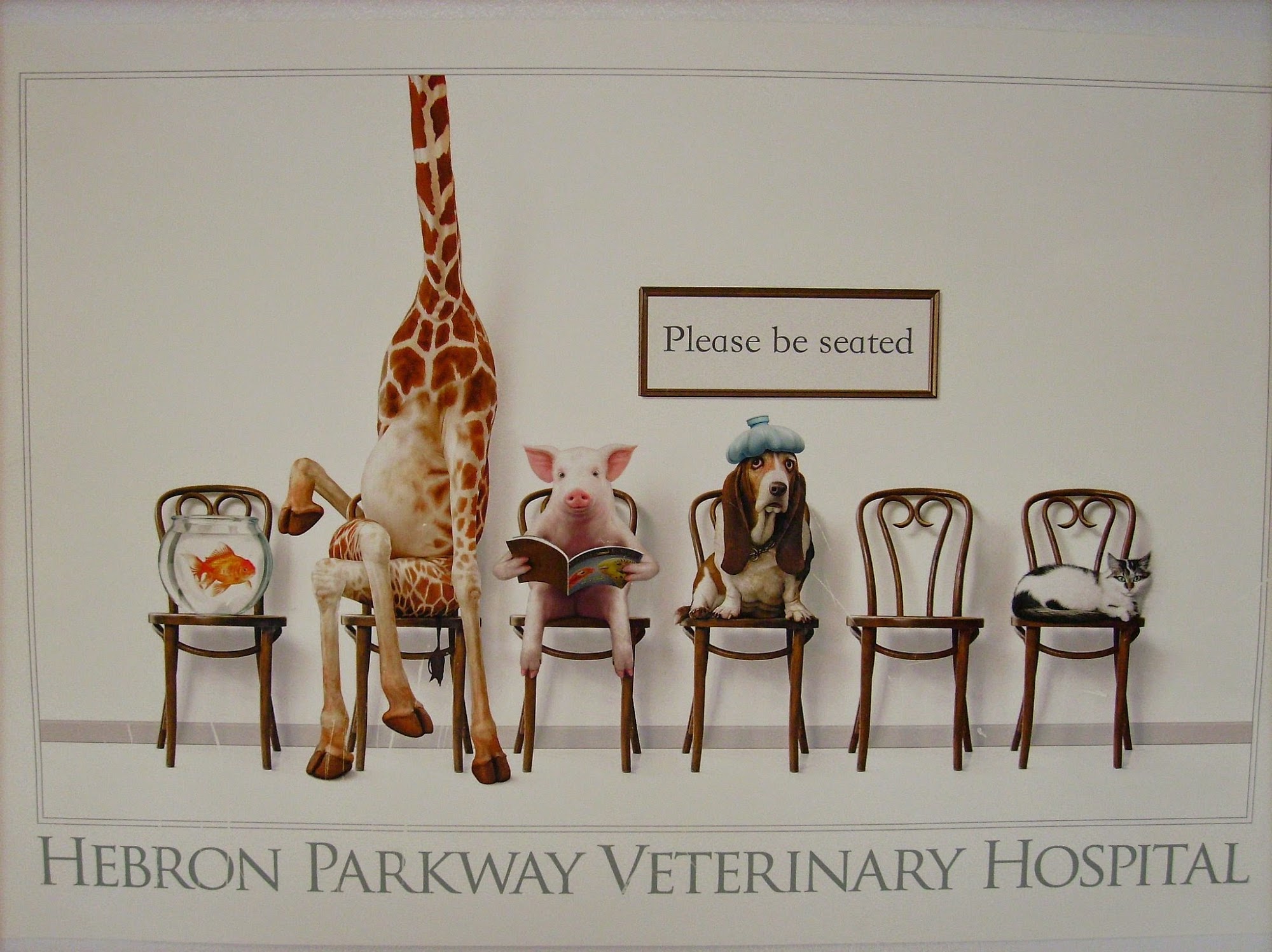 Hebron Parkway Veterinary Hospital