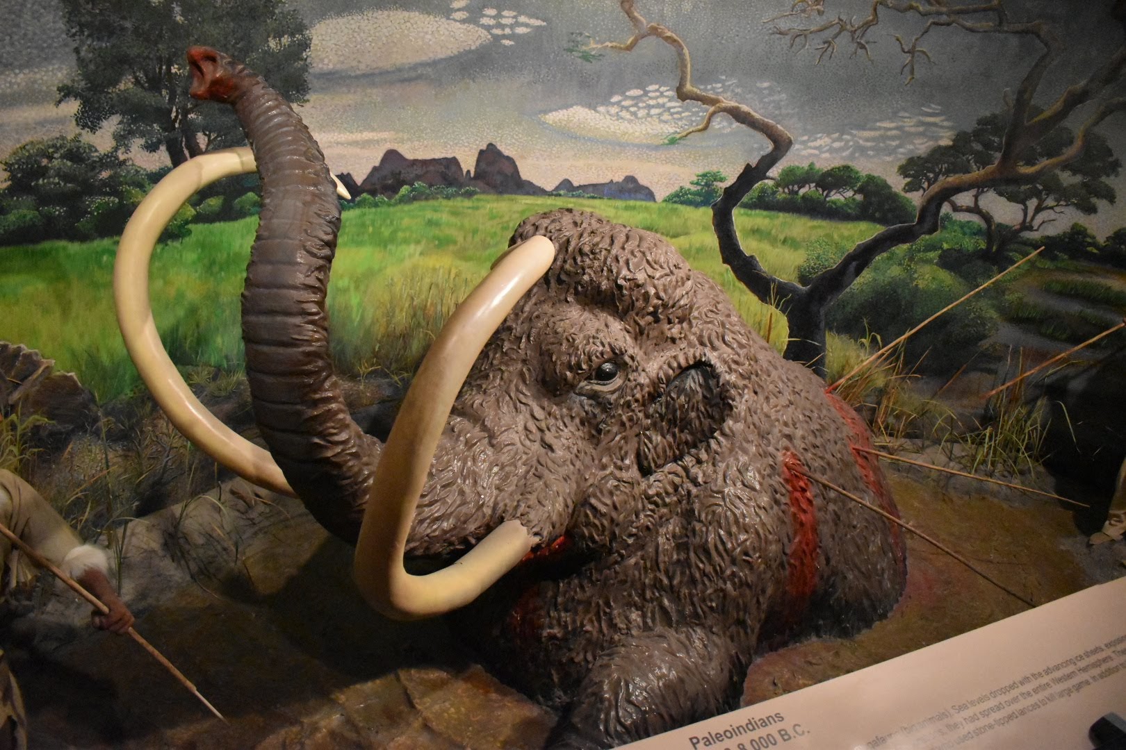 El Paso Museum of Archaeology 4301 Woodrow Bean Transmountain Dr, El Paso
