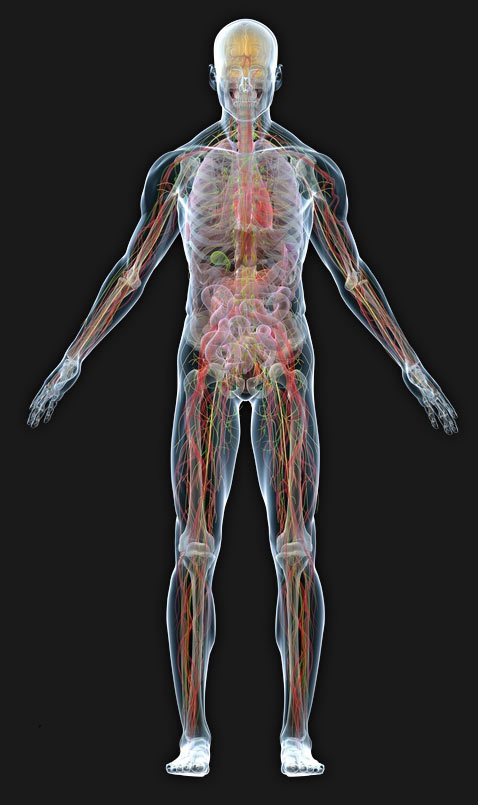 Therapeutic Bodywork Solutions