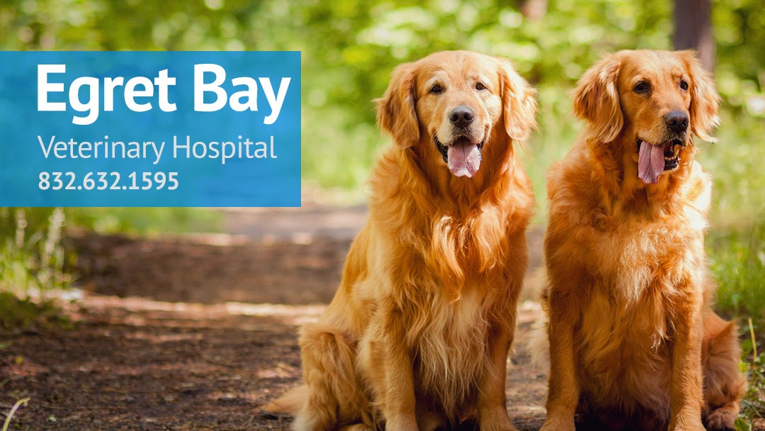 Egret Bay Veterinary Hospital