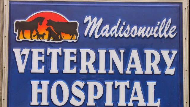 Madisonville Veterinary Hospital