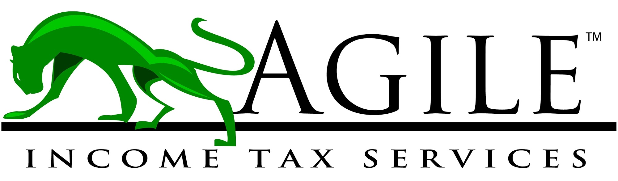 Agile Income Tax LLC