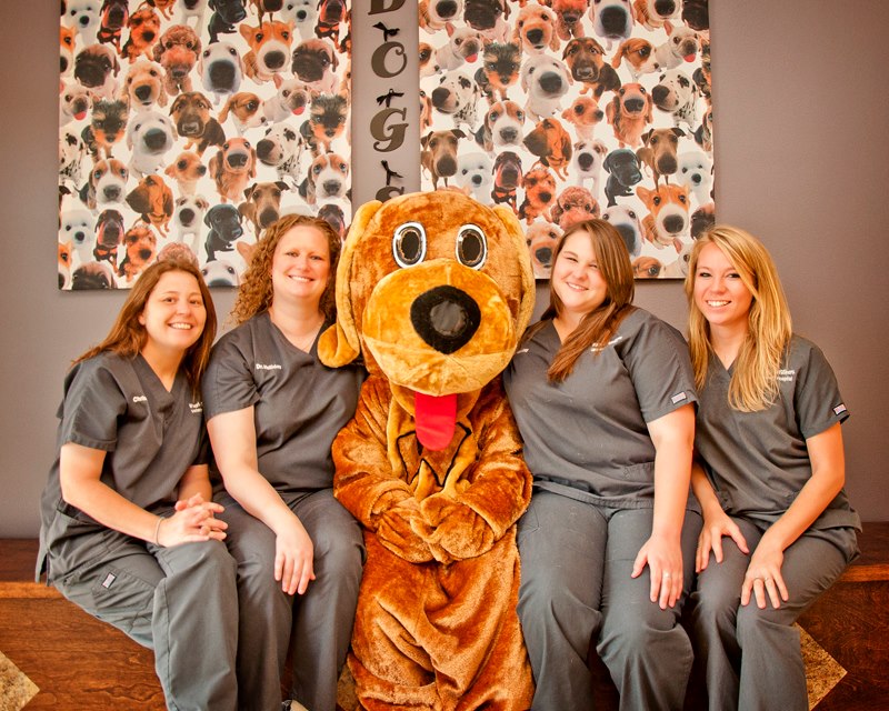 Wags 2 Whiskers Veterinary Hospital