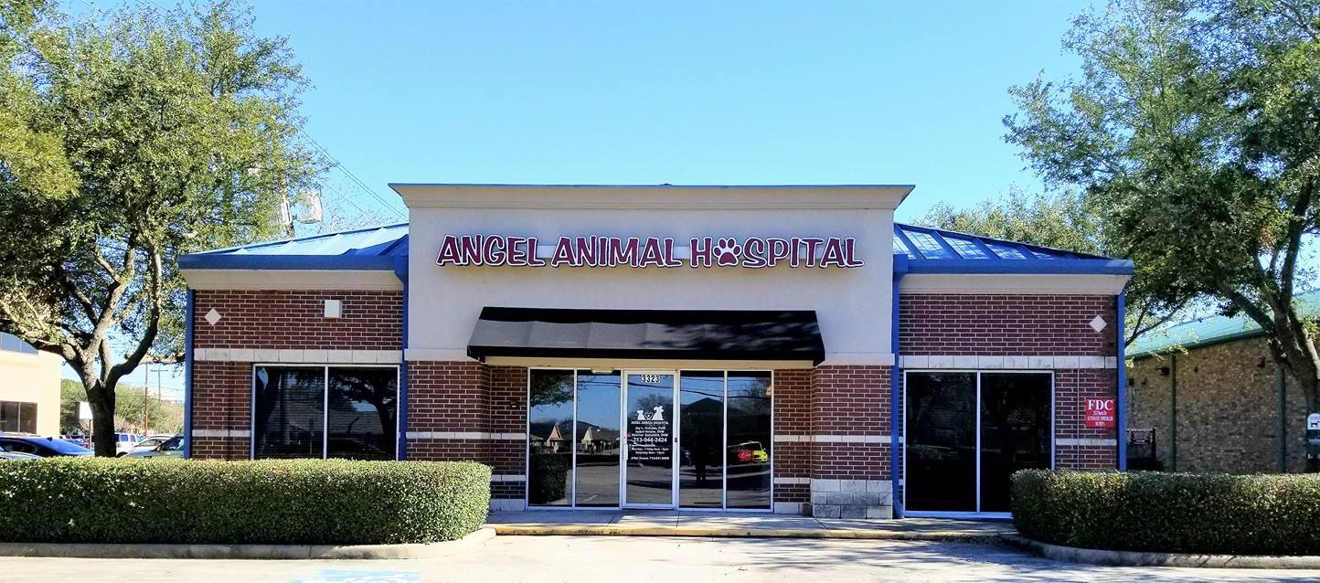 Angel Animal Hospital