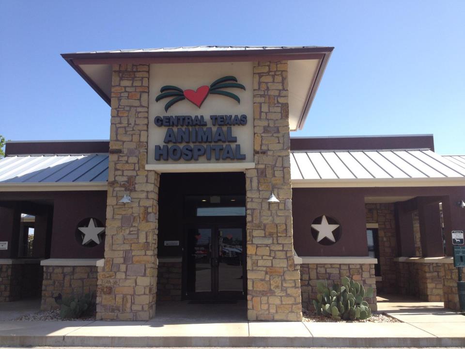 Central Texas Animal Hospital
