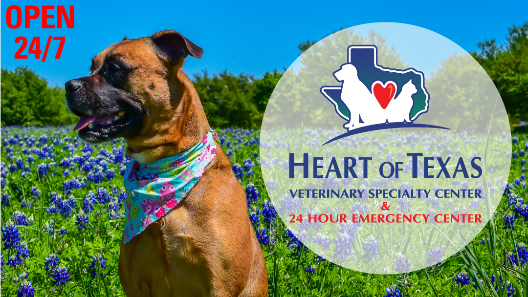Heart of Texas Veterinary Specialty Center