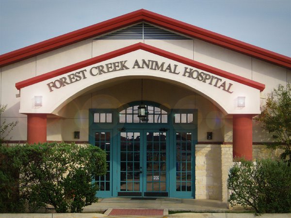 Forest Creek Animal Hospital