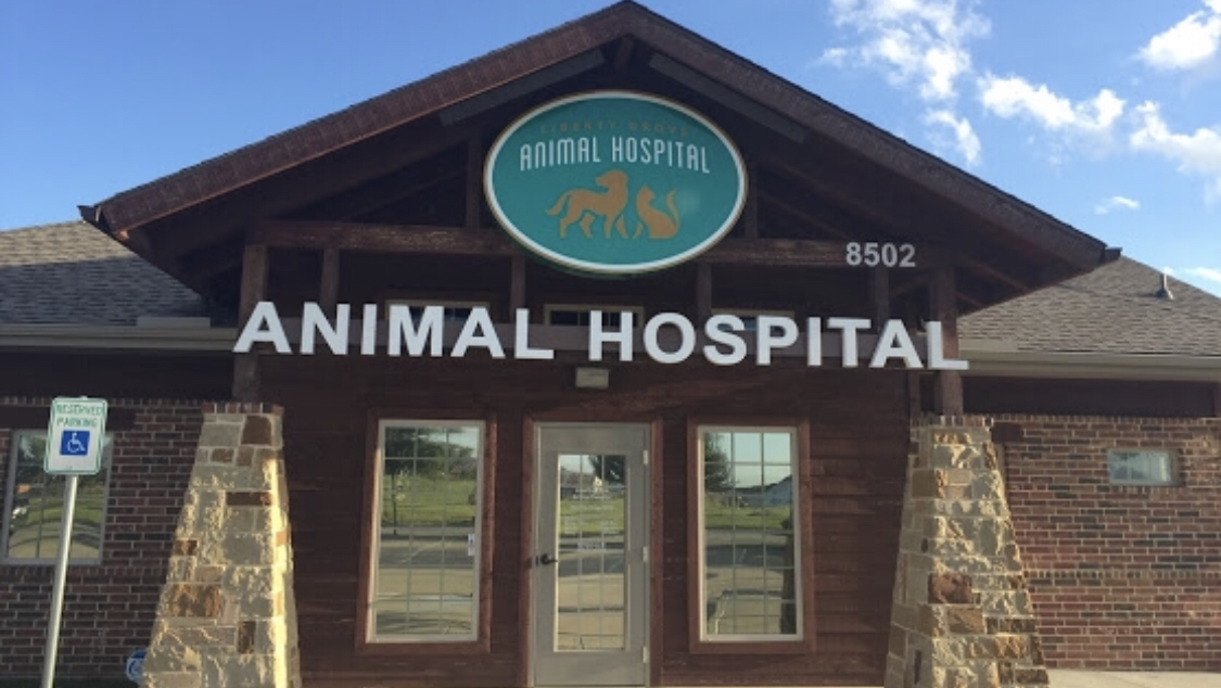 Liberty Grove Animal Hospital, A Thrive Pet Healthcare Partner