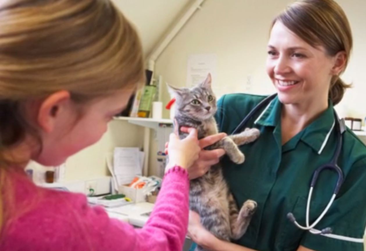 San Angelo Veterinary Hospital