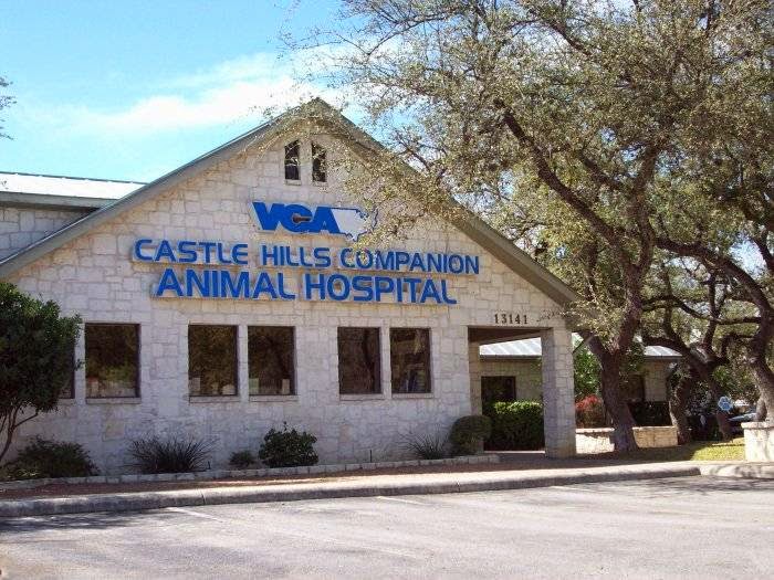 VCA Castle Hills Companion Animal Hospital