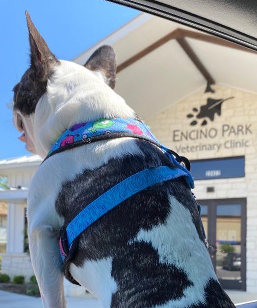 Encino Park Veterinary Clinic