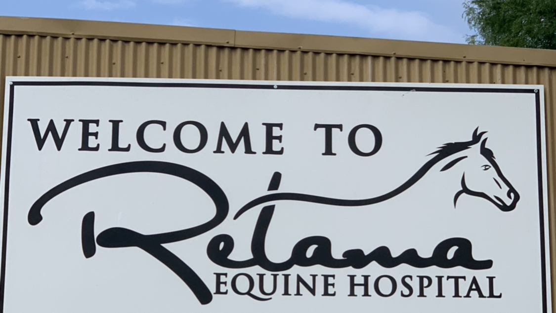 Retama Equine Hospital