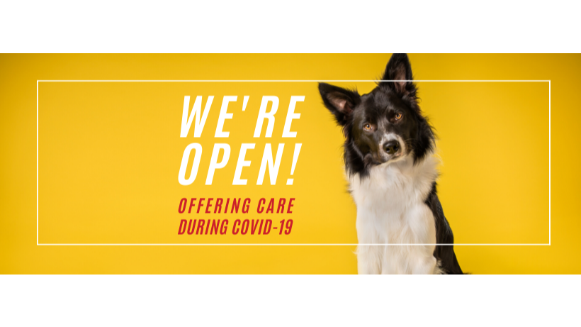 Sugar Land Veterinary Specialists & Emergency Care