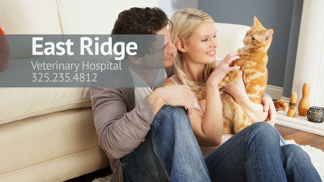 East Ridge Veterinary Hospital