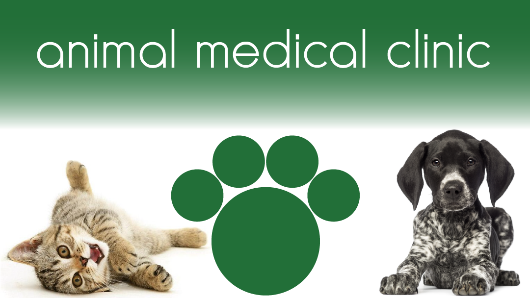 Animal Medical Clinic, A Thrive Pet Healthcare Partner
