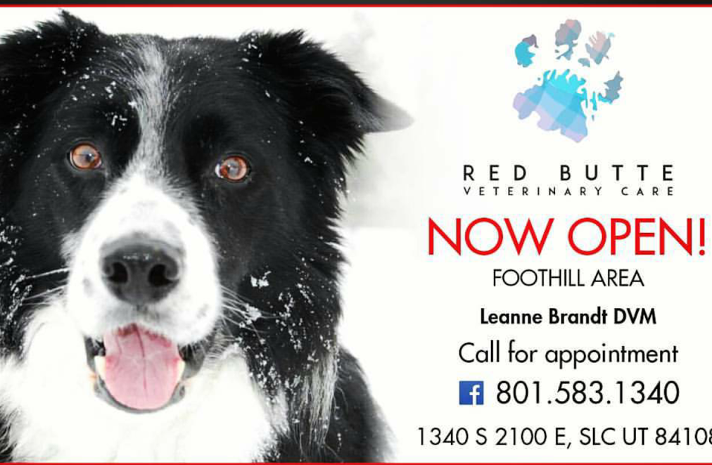 Red Butte Veterinary Care