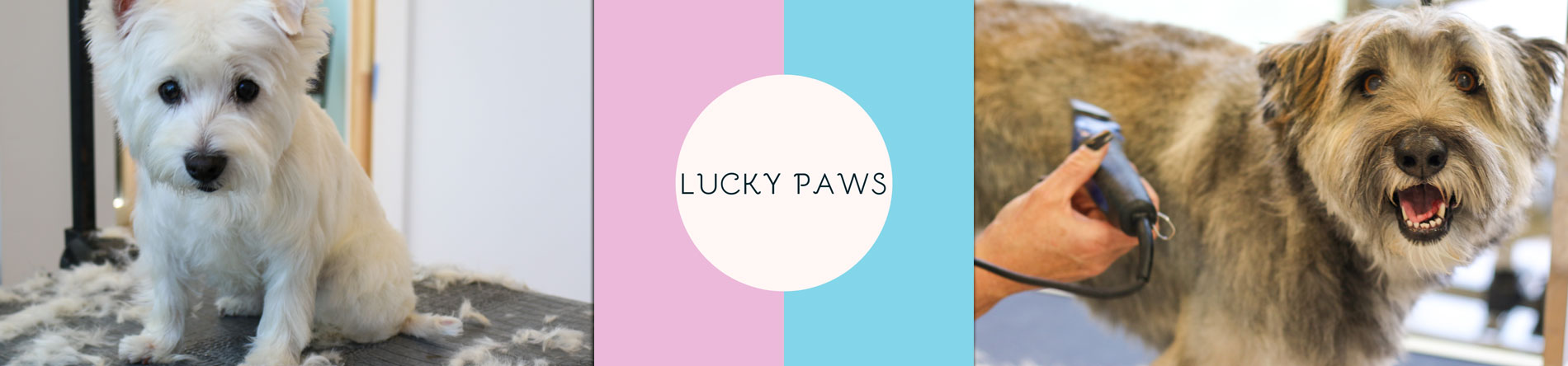 Lucky Paws Pet Spa