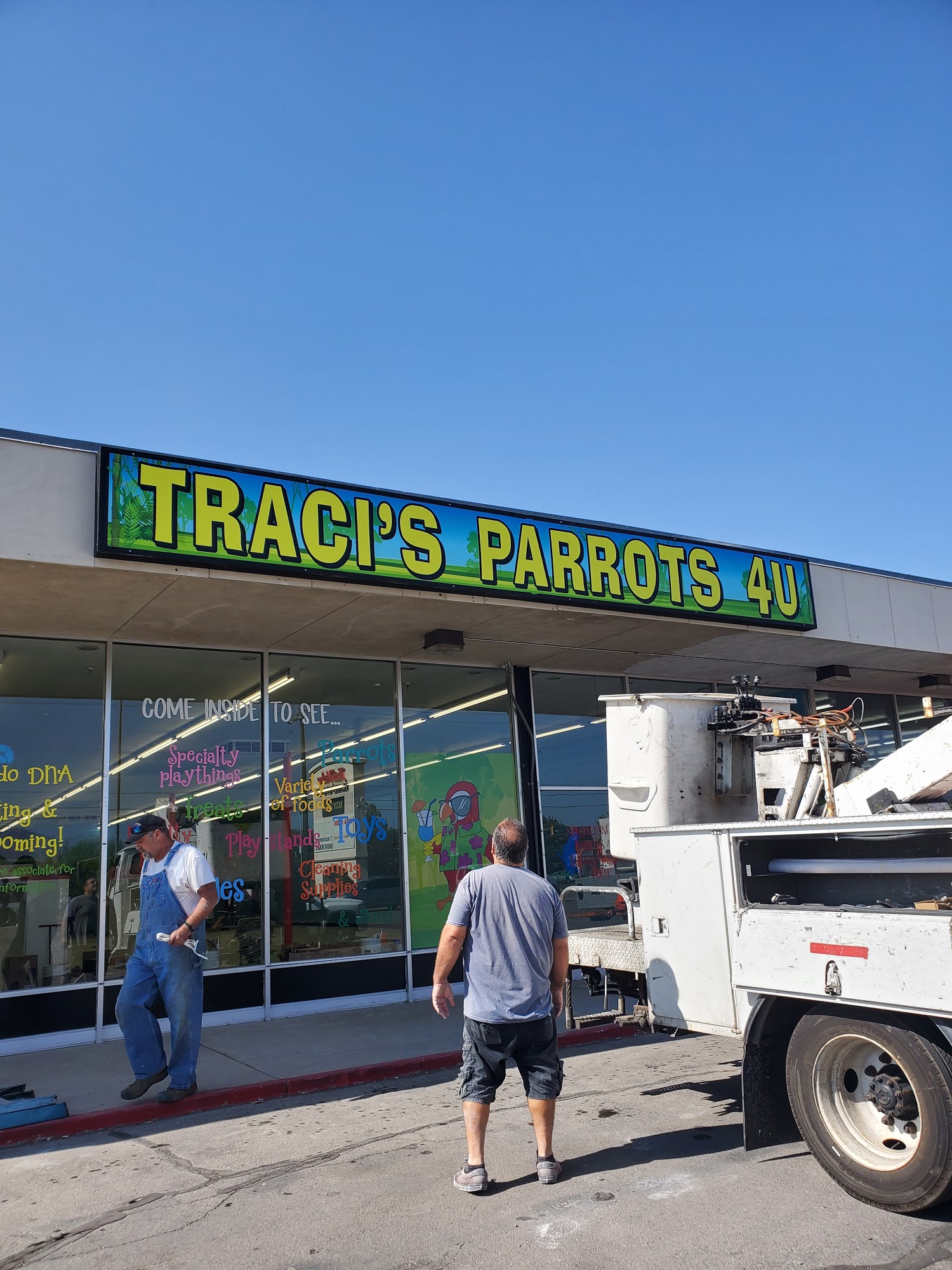 Traci's Parrots 4U