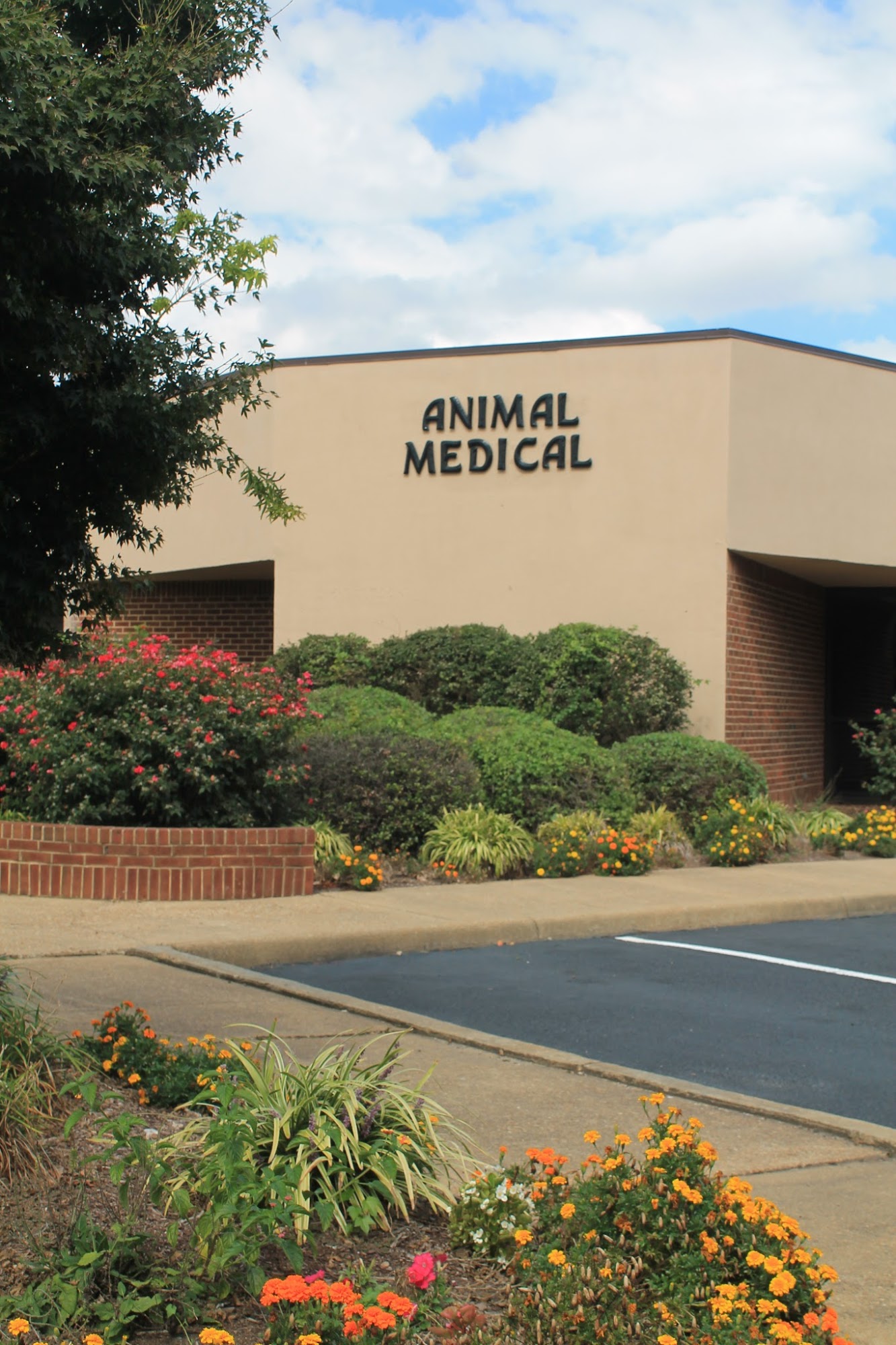 Animal Medical Clinic of Chesapeake