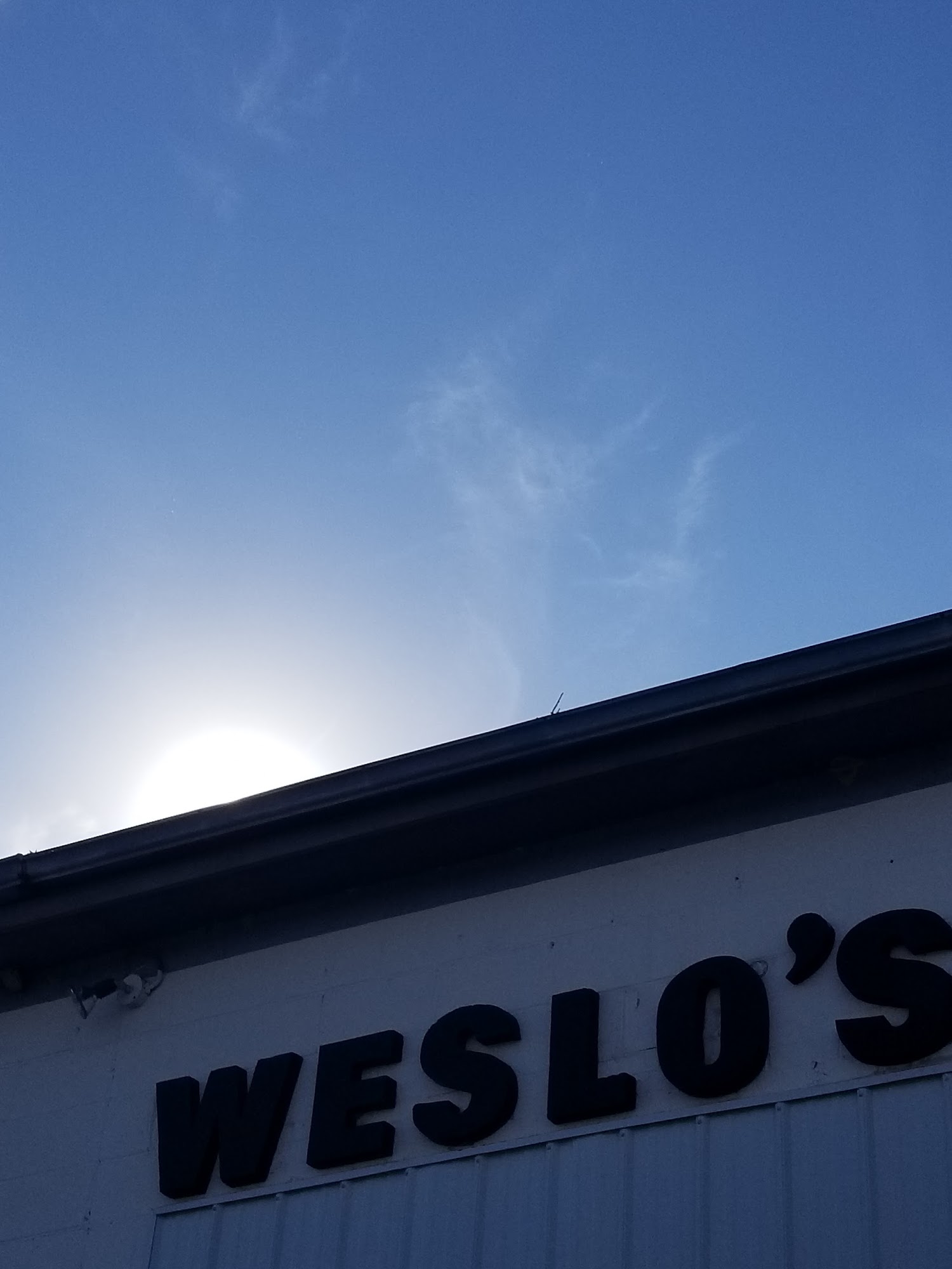 Weslo's Inc