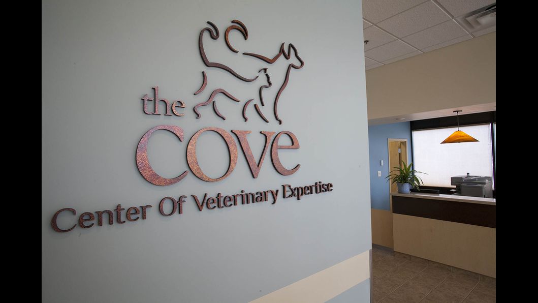 The Cove - Center of Veterinary Expertise