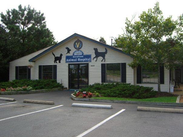 Grafton Animal Hospital