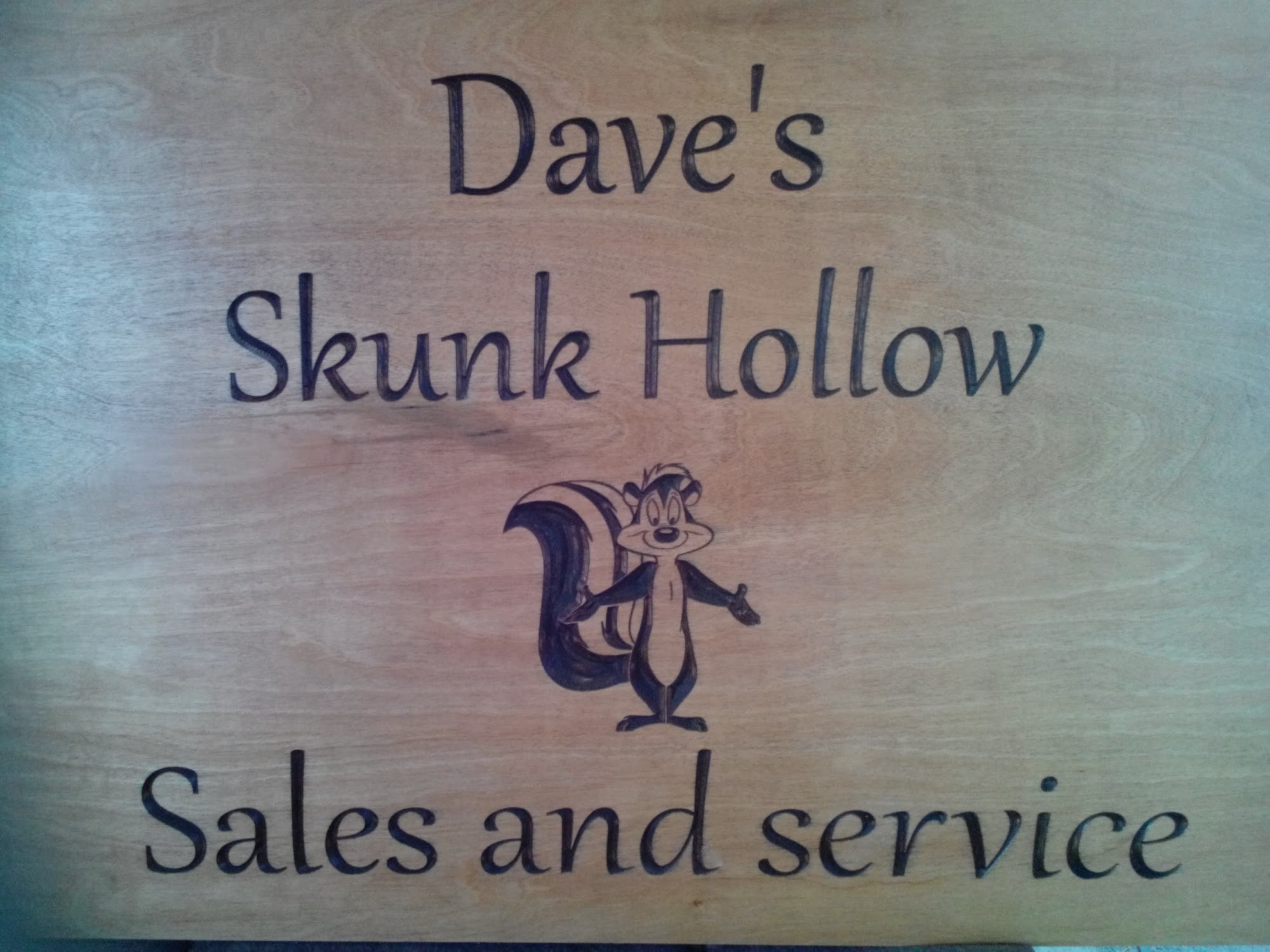 Dave's Skunk Hollow Sales & Service