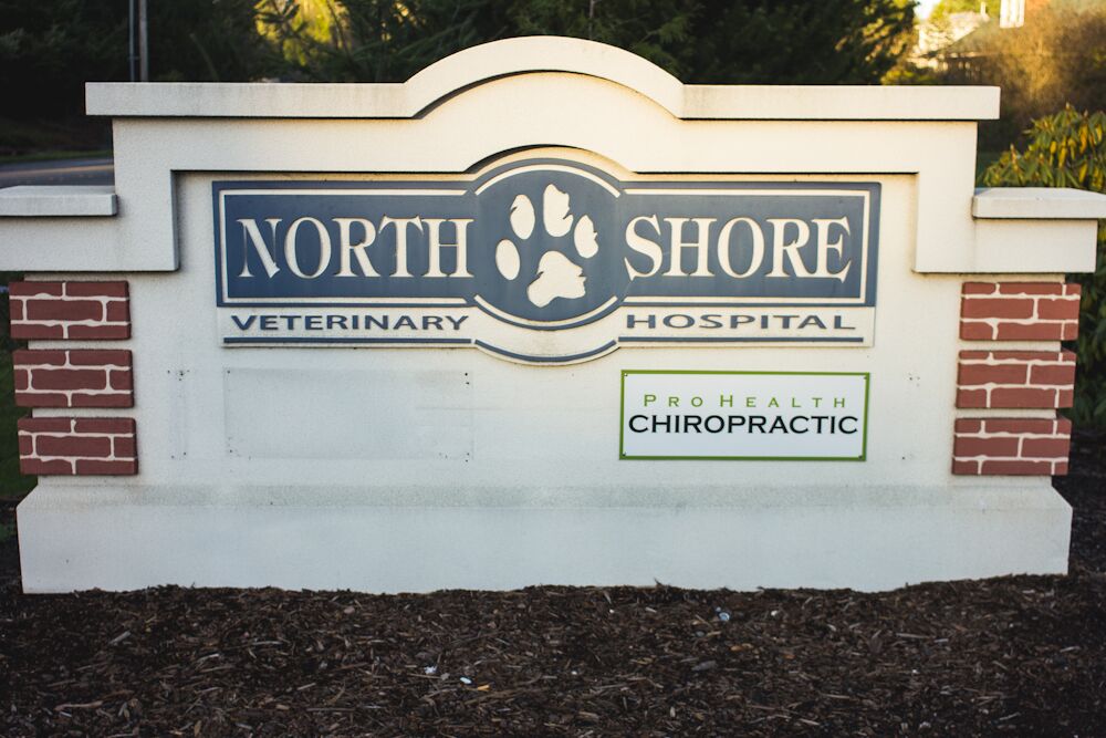 Northshore Veterinary Hospital