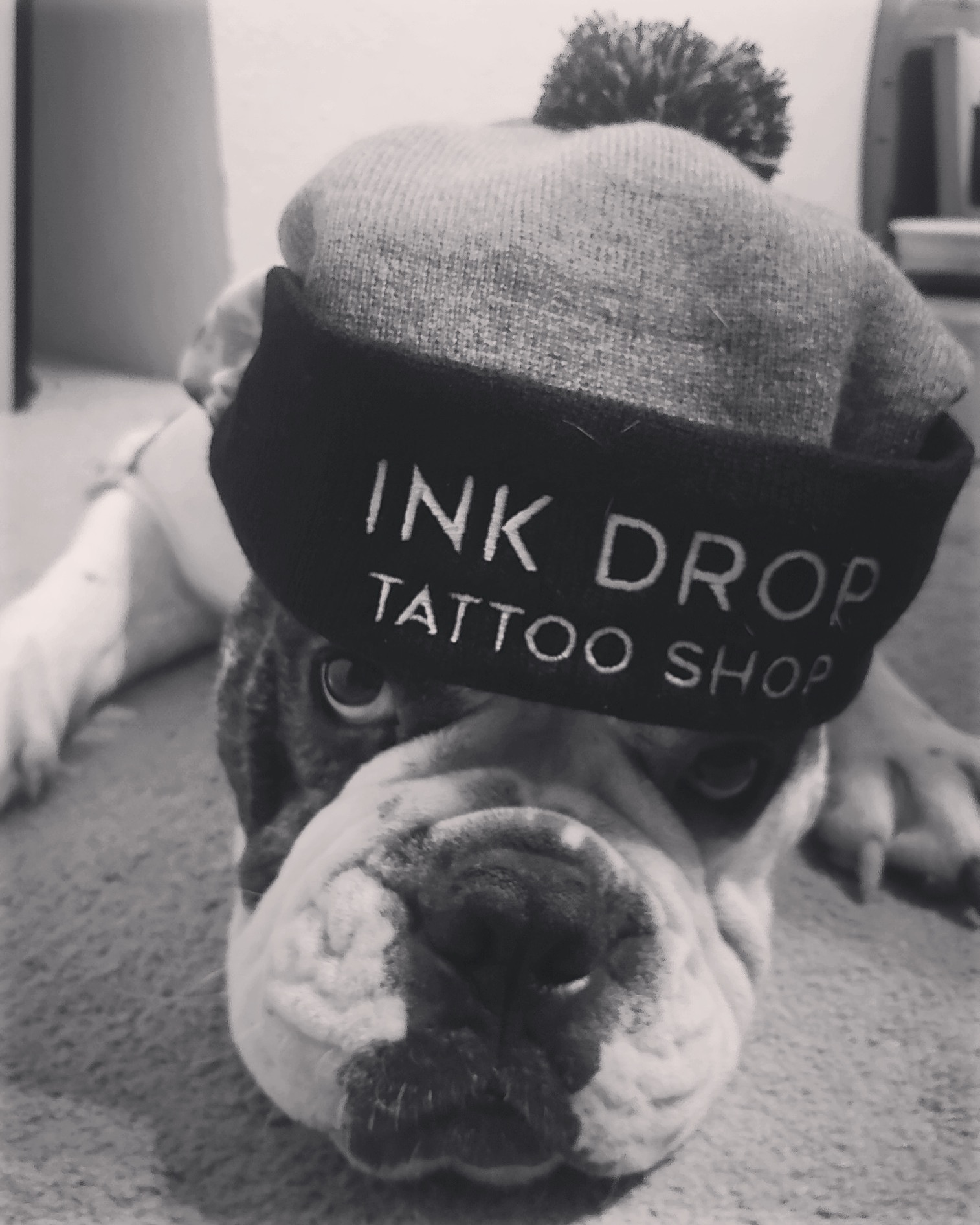 Ink Drop Tattoo Shop