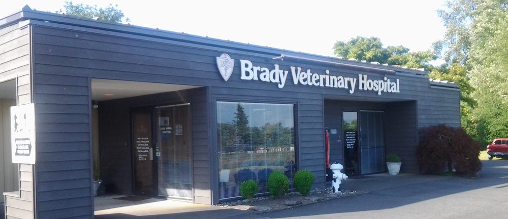 Brady Veterinary Hospital