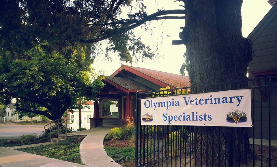 Olympia Veterinary Specialists Oncology