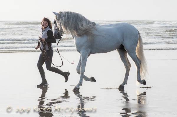 Ridgefield Equine Clinic