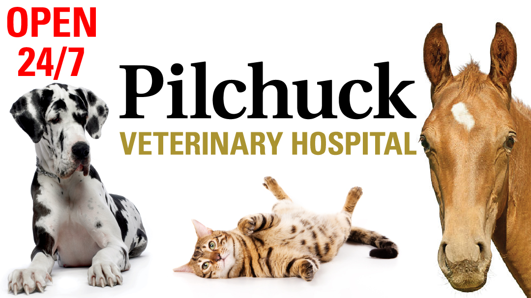 Pilchuck Veterinary Hospital, A Thrive Pet Healthcare Partner