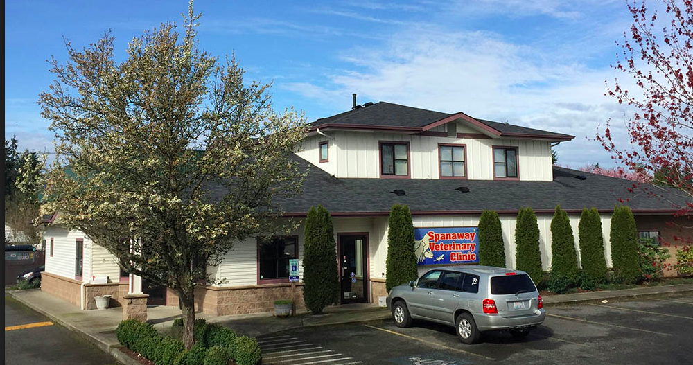 Spanaway Veterinary Clinic