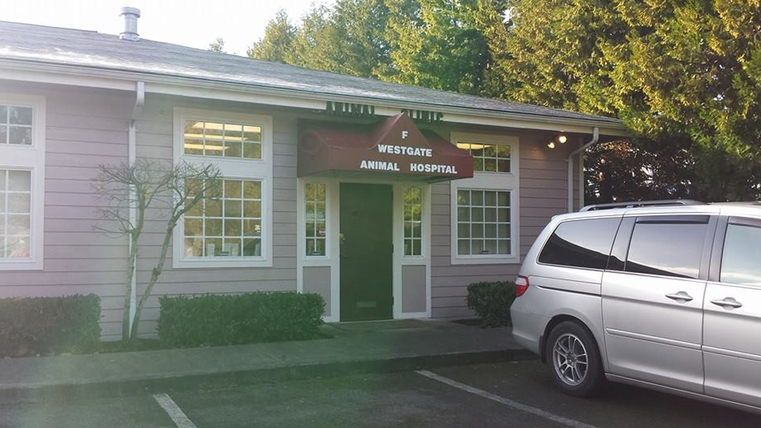 Westgate Animal Hospital