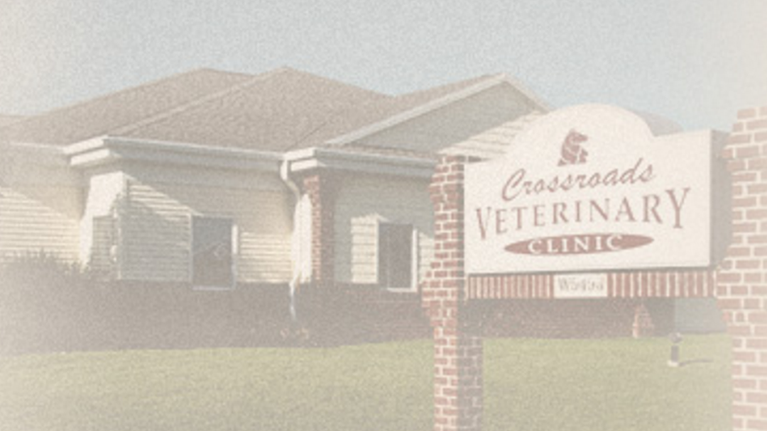 Crossroads Veterinary Clinic SC