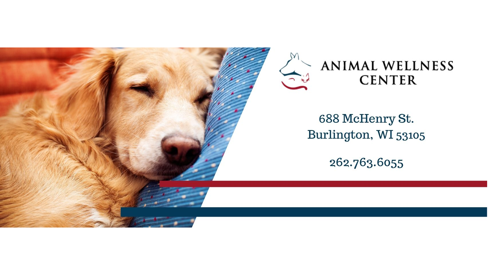 Animal Wellness Center Burlington