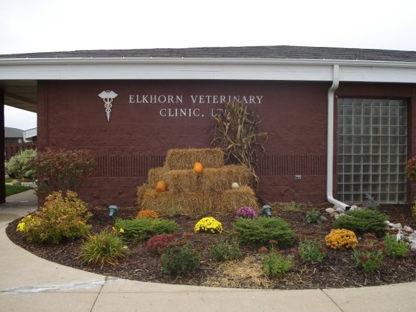 Elkhorn Veterinary Clinic