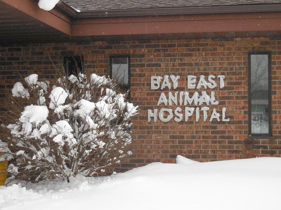 Bay East Animal Hospital