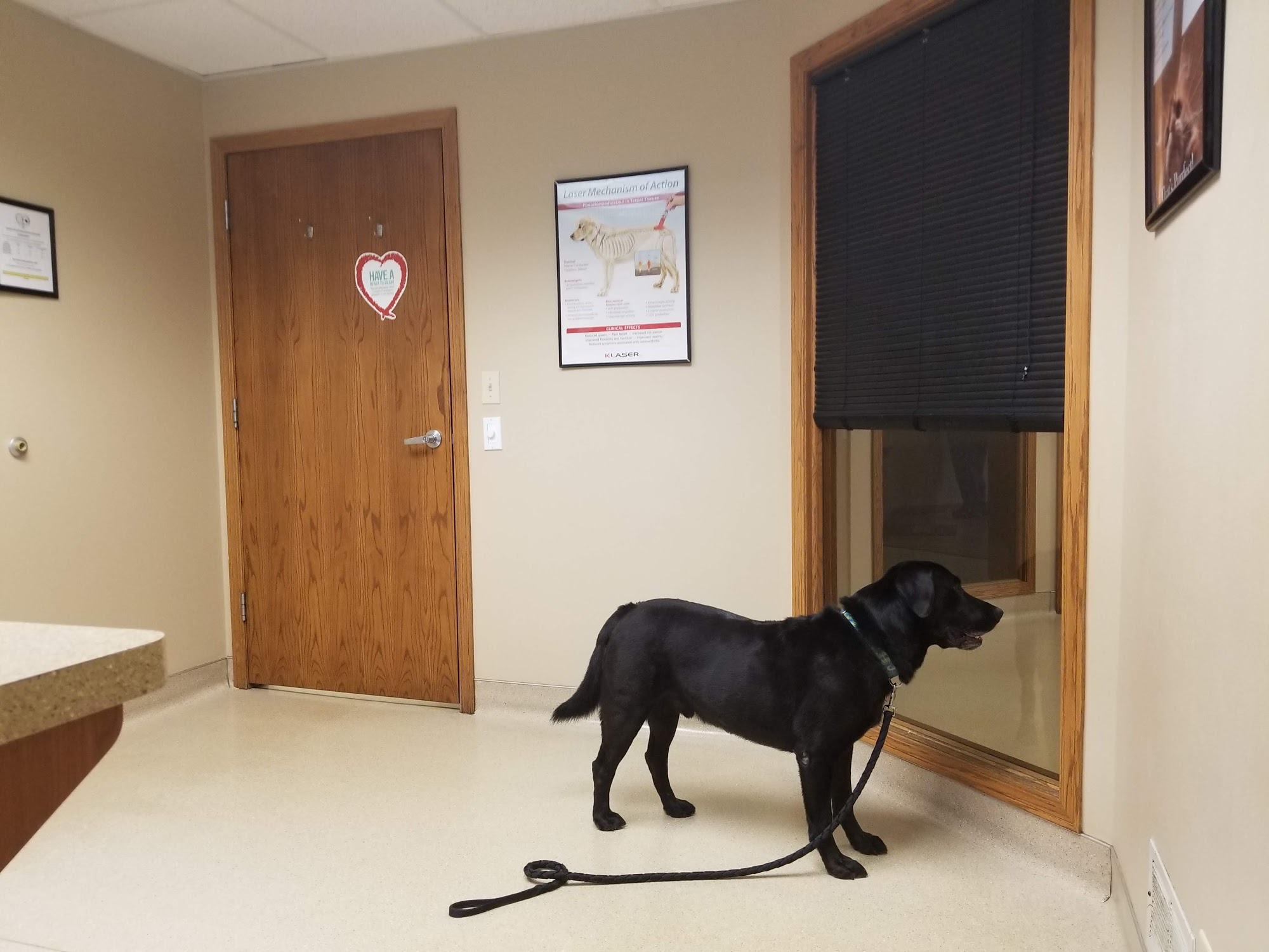 Hales Corners Veterinary Clinic