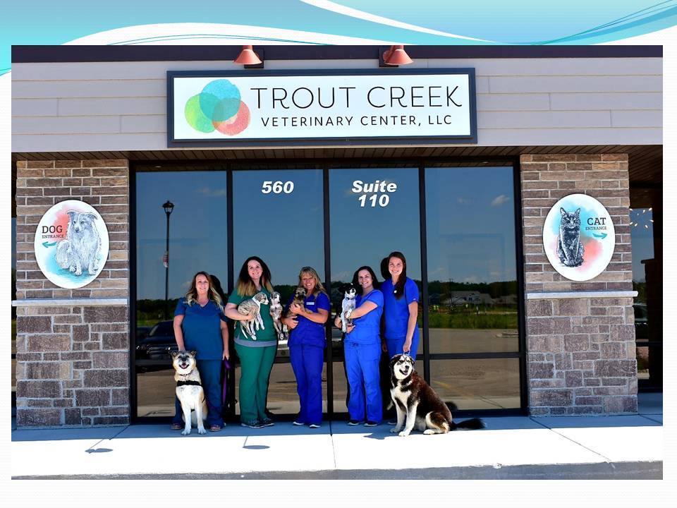 Trout Creek Veterinary Center, LLC. Dr. Tracy Kusik, DVM