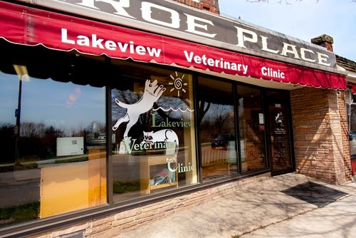 Lakeview Veterinary Clinic