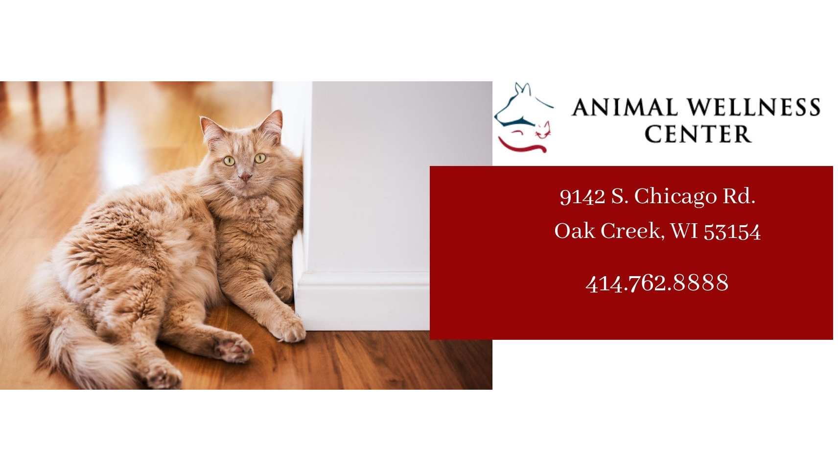 Animal Wellness Center Oak Creek