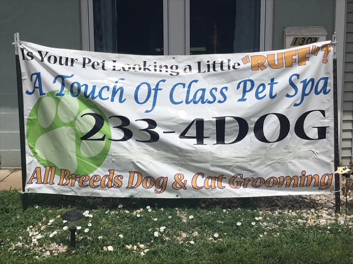 A Touch Of Class Pet Spa